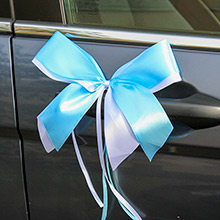Набор бутоньерок для автомобиля "Фантазия" (белый/небесно-голубой