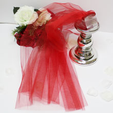 Фата на свадебный девичник -  (красная)