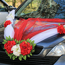 Лента для свадебного автомобиля "Виолла" (айвори-красный)