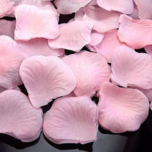 Лепестки на свадьбу "Ласка" нежно-розовый