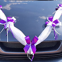 Лента на автомобиль "Фантазия" 2 луча белый фиолетовый белый/фиолетовый