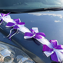 Лента на свадебный автомобиль "Фантазия" 1 луч белый фиолетовый белый/фиолетовый