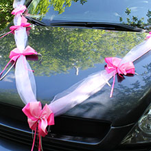 Ленты на машину молодоженов "Адель" 2 луча розовый